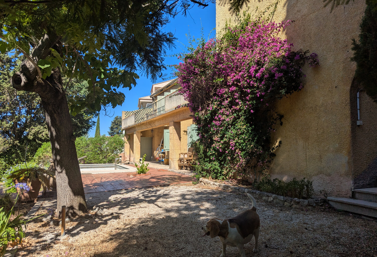 Maison sur 2 niveaux - 207m2 - garage et piscine — photo 1
