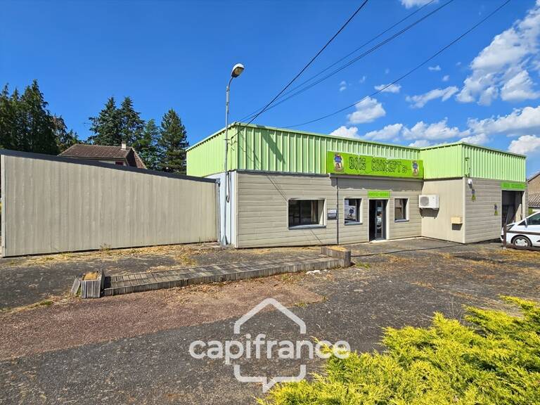 Local d'activité de 352 m² - ALLUY (58) - Showroom, bureau, ateliers et stockage - terrain 1 354 m² — photo 1