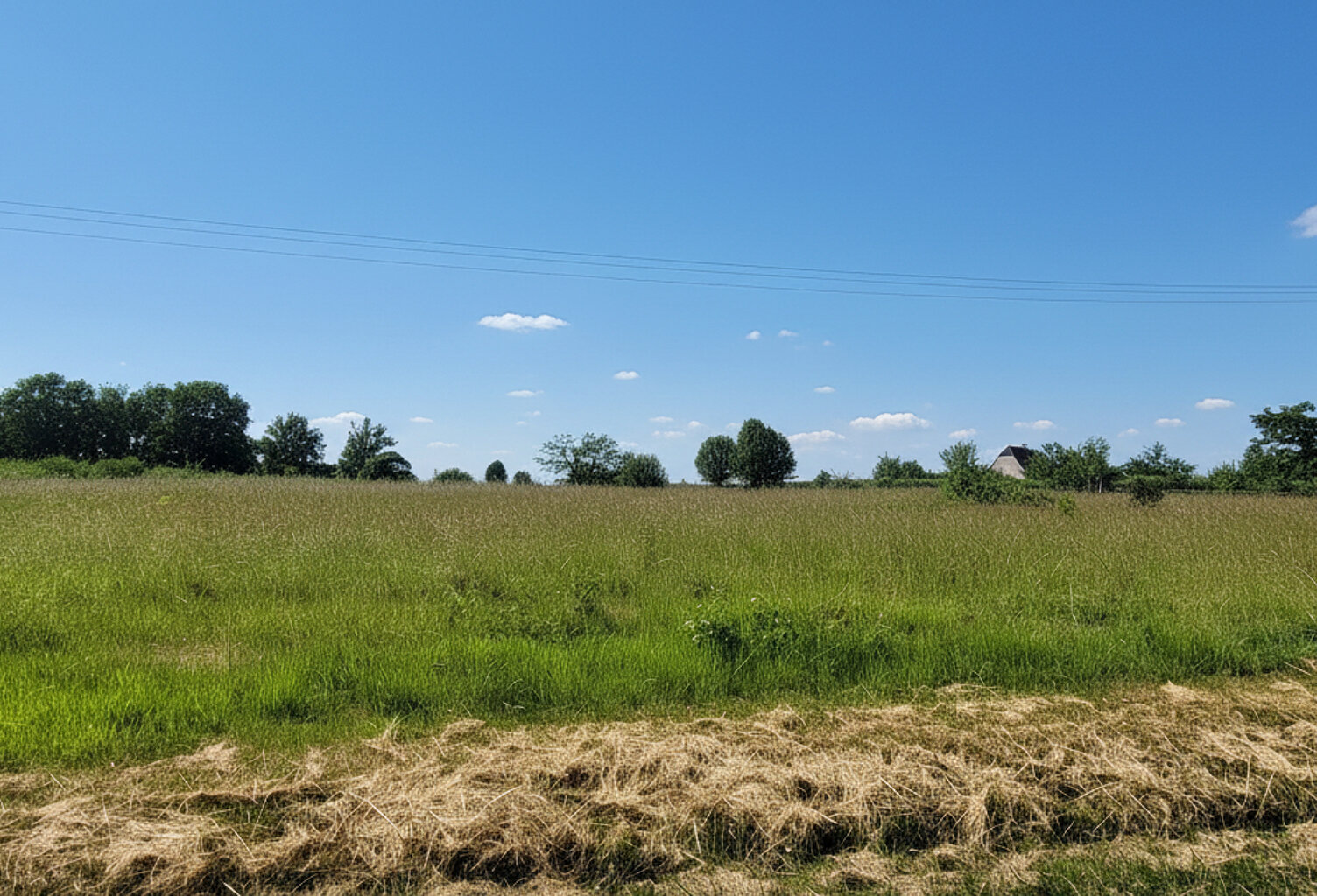 Rare! Idéal pour un beau projet de construction avec jolie VUE dégagée!: 1 HECTARE dont  environ 4000 m2 constructibles! — photo 1