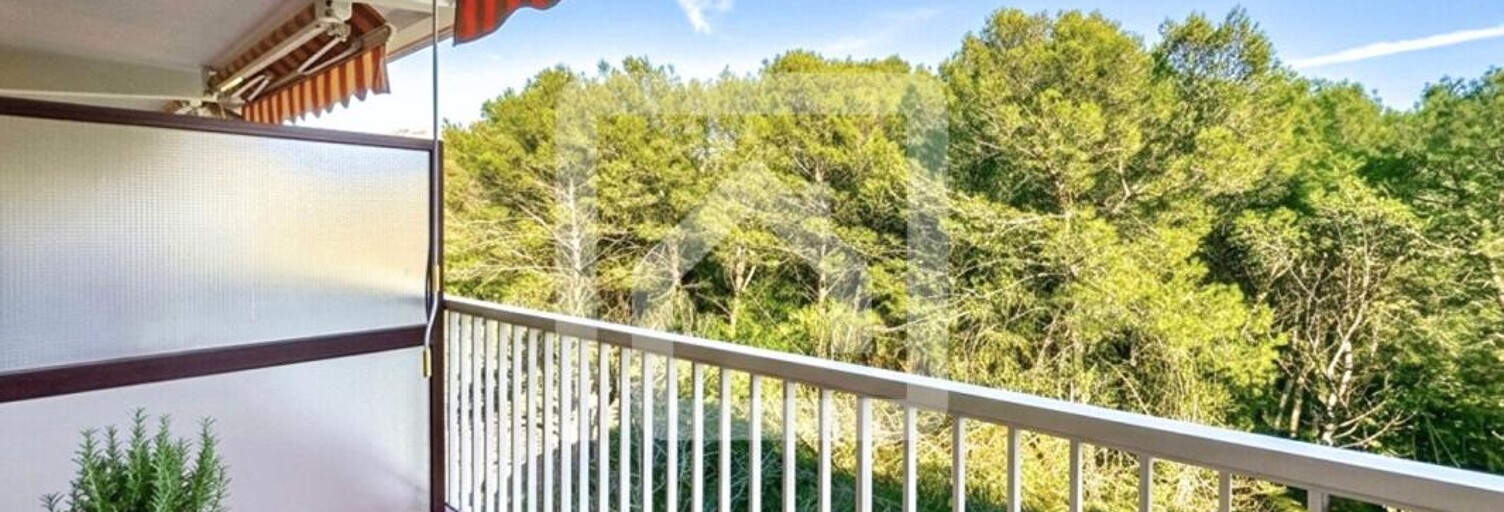 Appartement 1 Pièce 24 m² à vendre à Peymeinade (06530)