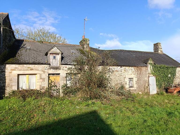 Maison en pierres, grand hangar et terrain — photo 1