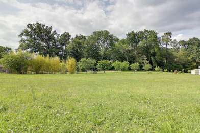 Terrain  228000 €
