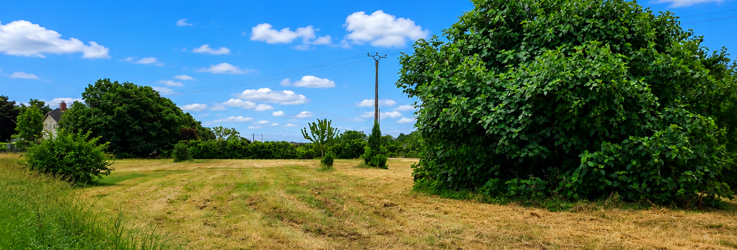 Terrain  2620 m² à vendre à Saint-Jory (31790)
