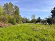 Terrain à Allotir - Beaufay - 8776 m² — photo 3