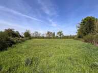 Terrain à Allotir - Beaufay - 7100 m² — photo 2