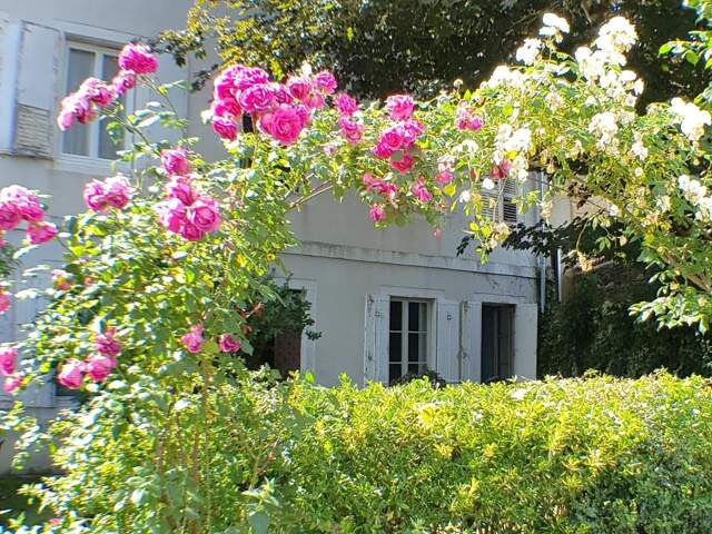 T2 de charme avec jardin et parking — photo du bien