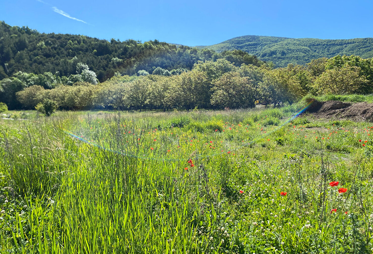 Terrain  652 m2 — photo 1