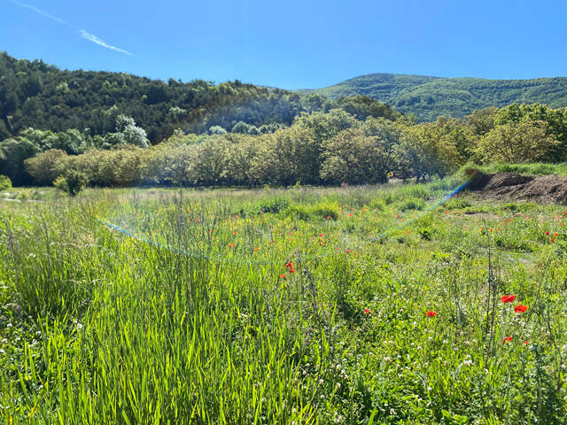 Terrain  652 m2 — photo du bien