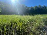 Terrain  652 m2 — photo 2