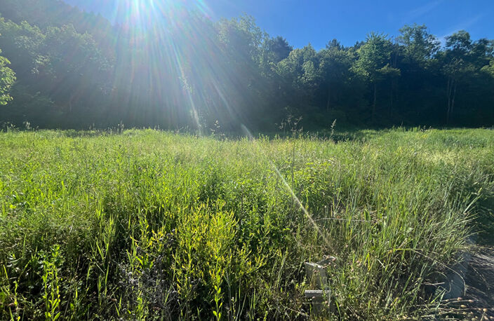 Terrain  652 m2 — photo 2
