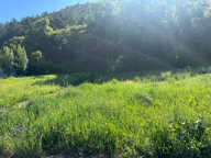 Terrain  652 m2 — photo 3