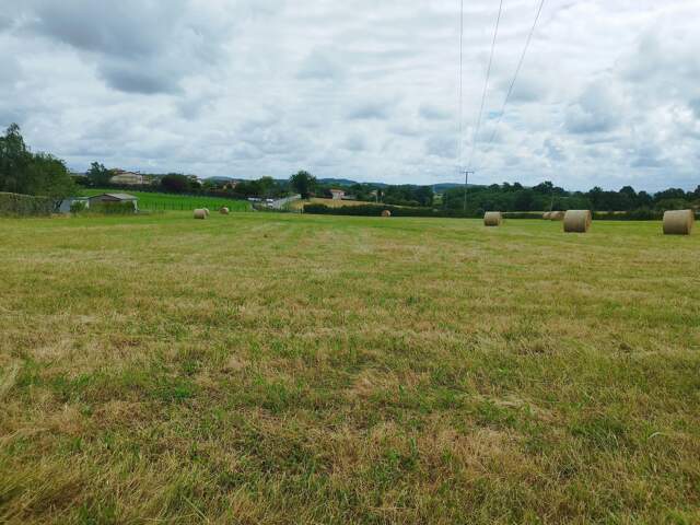 EXCLUSIVITÉ – TERRAIN À BÂTIR DE 1 205 M² – SAINT-GAUDENS — photo du bien