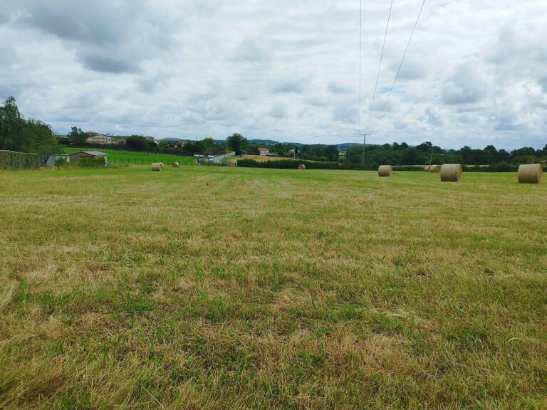 EXCLUSIVITÉ – TERRAIN À BÂTIR DE 1 205 M² – SAINT-GAUDENS — photo 1