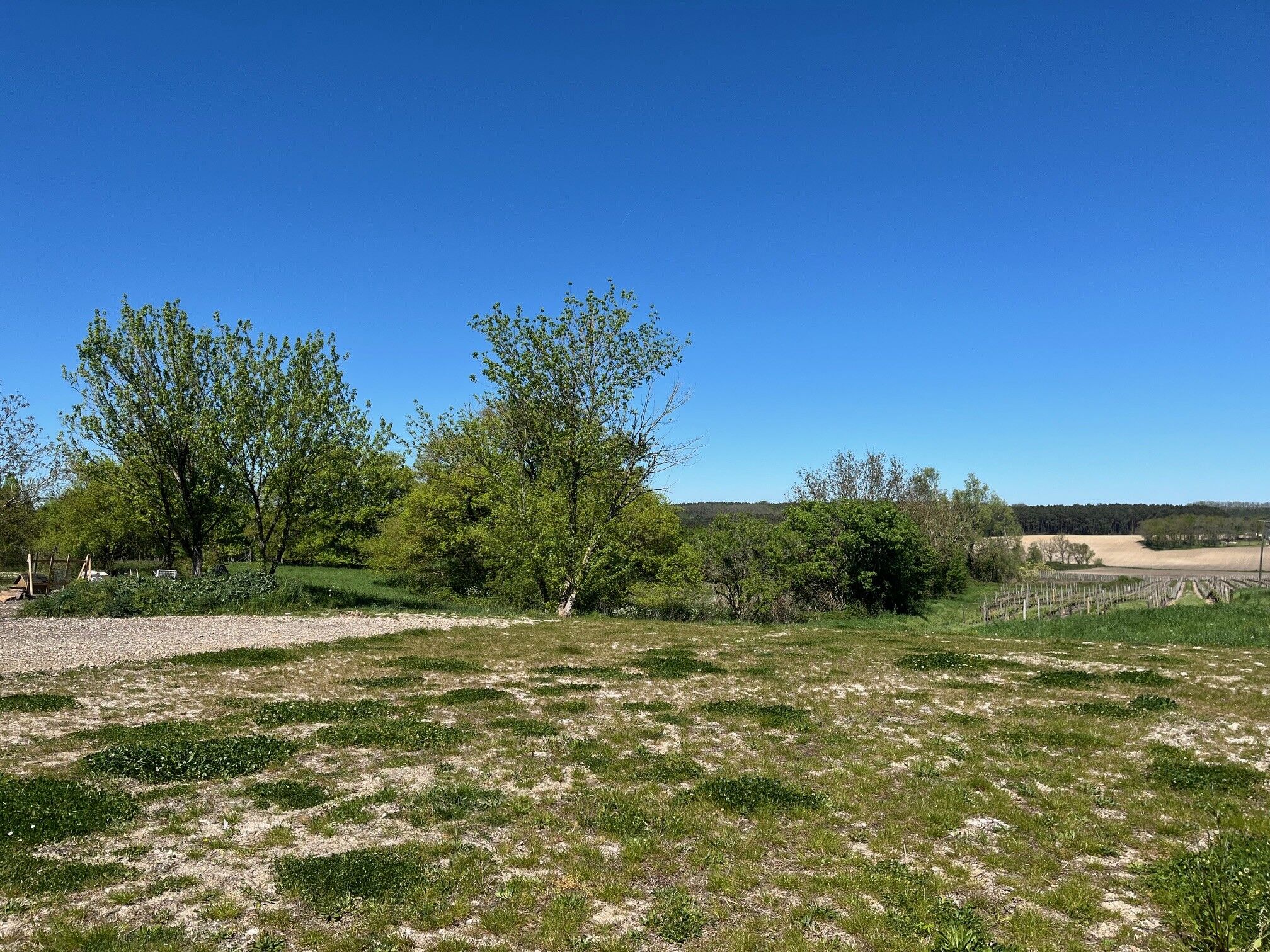 Vente Terrain Ribagnac