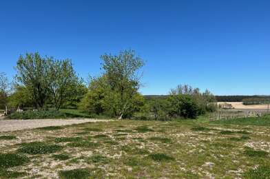 Terrain  19500 €