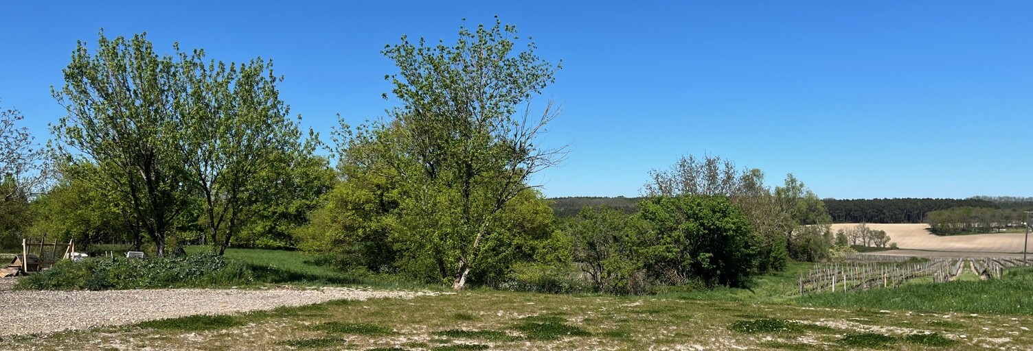 Terrain 987 m² à construire Ribagnac (24240)