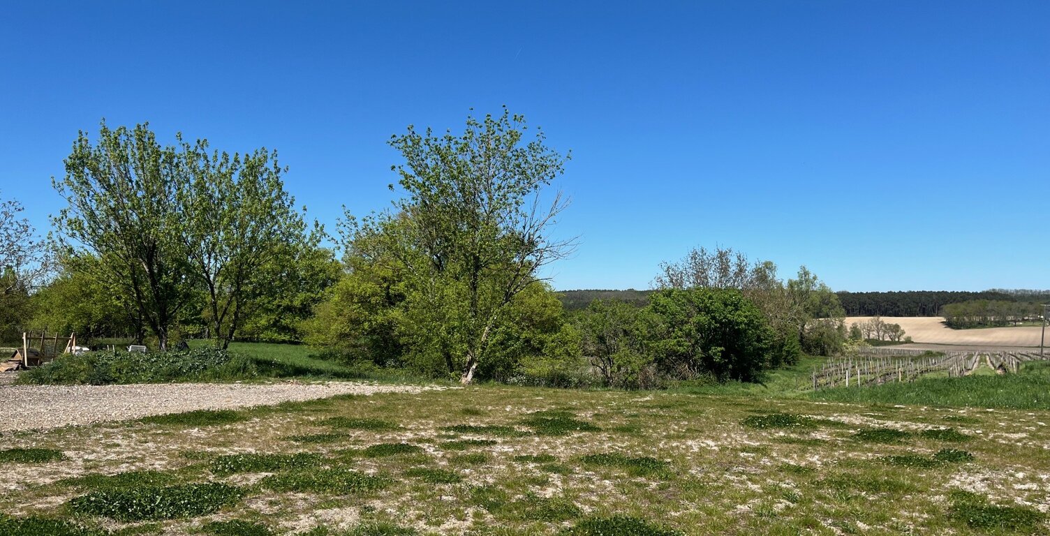 Terrain à bâtir a vendre à Ribagnac – Cadre de vie agréable et dynamique  — photo 1