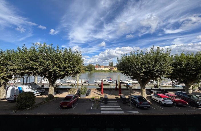 Restaurant idéalement situé en bord de Saône à TOURNUS, loca — photo 4