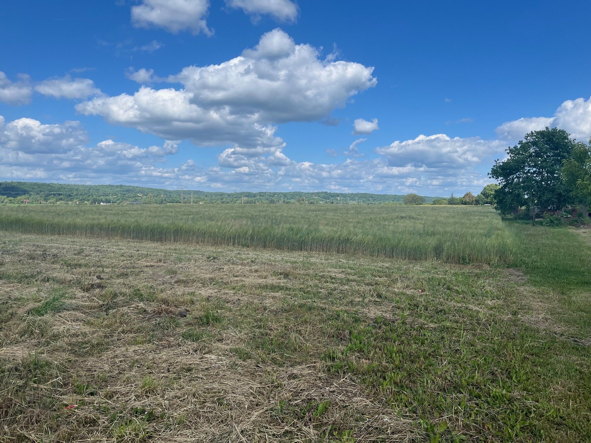 Vente Terrain Saint-Germain-Et-Mons
