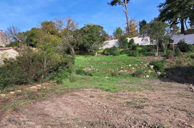 Terrain  480000 €