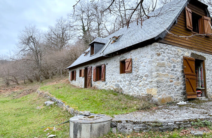 A VENDRE ANCIENNE GRANGE DE 120 M2 SUR 15000 M2 DE TERRAIN - SECTEUR SALLES - ARGELES GAZOST — photo 2