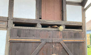 Photo N° 2