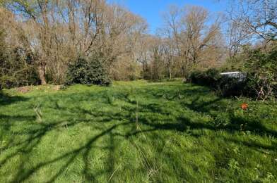 Terrain  90000 €