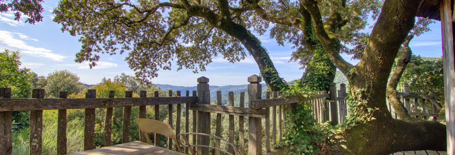 Maison 9 Pièces 235 m² à vendre à Ventalon en Cévennes (48240)