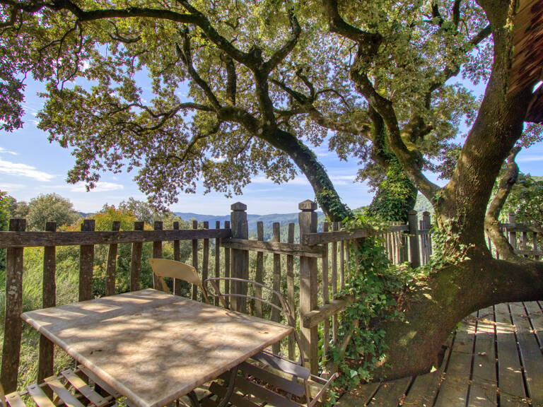 Mas Cévenol d'exception : Vue panoramique et potentiel d'accueil unique — photo 1