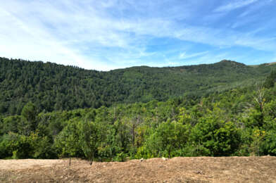 Terrain  78000 €