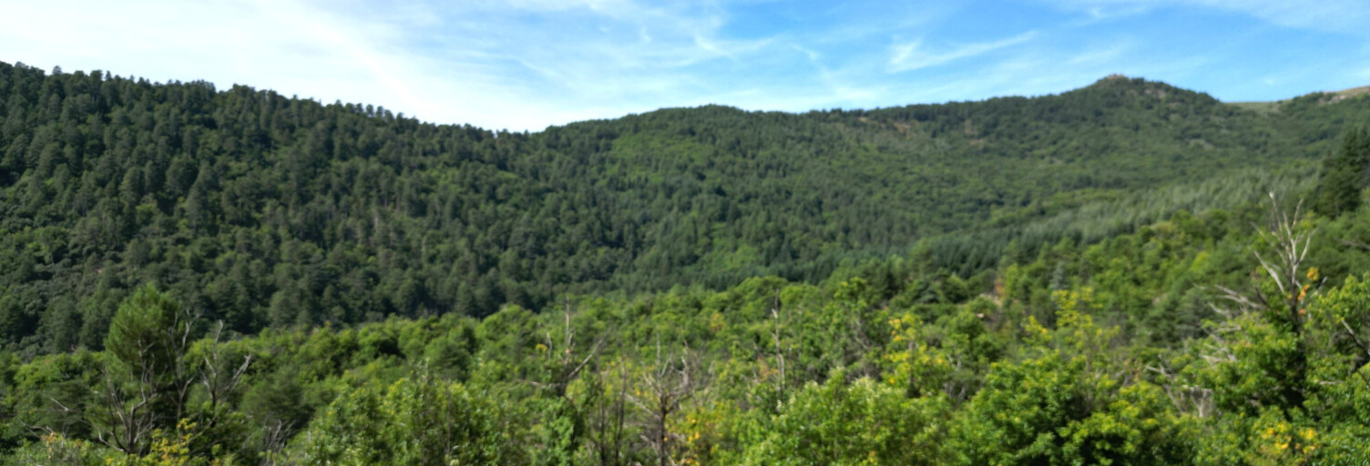 Terrain  1512 m² à vendre à Génolhac (30450)