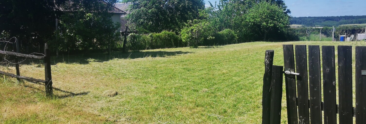 Photo N° 2