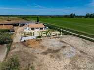 Propriété en Camargue : maison, dépendance, hangar — photo 2