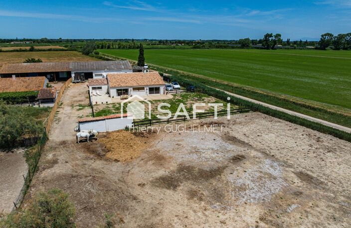 Propriété en Camargue : maison, dépendance, hangar — photo 2