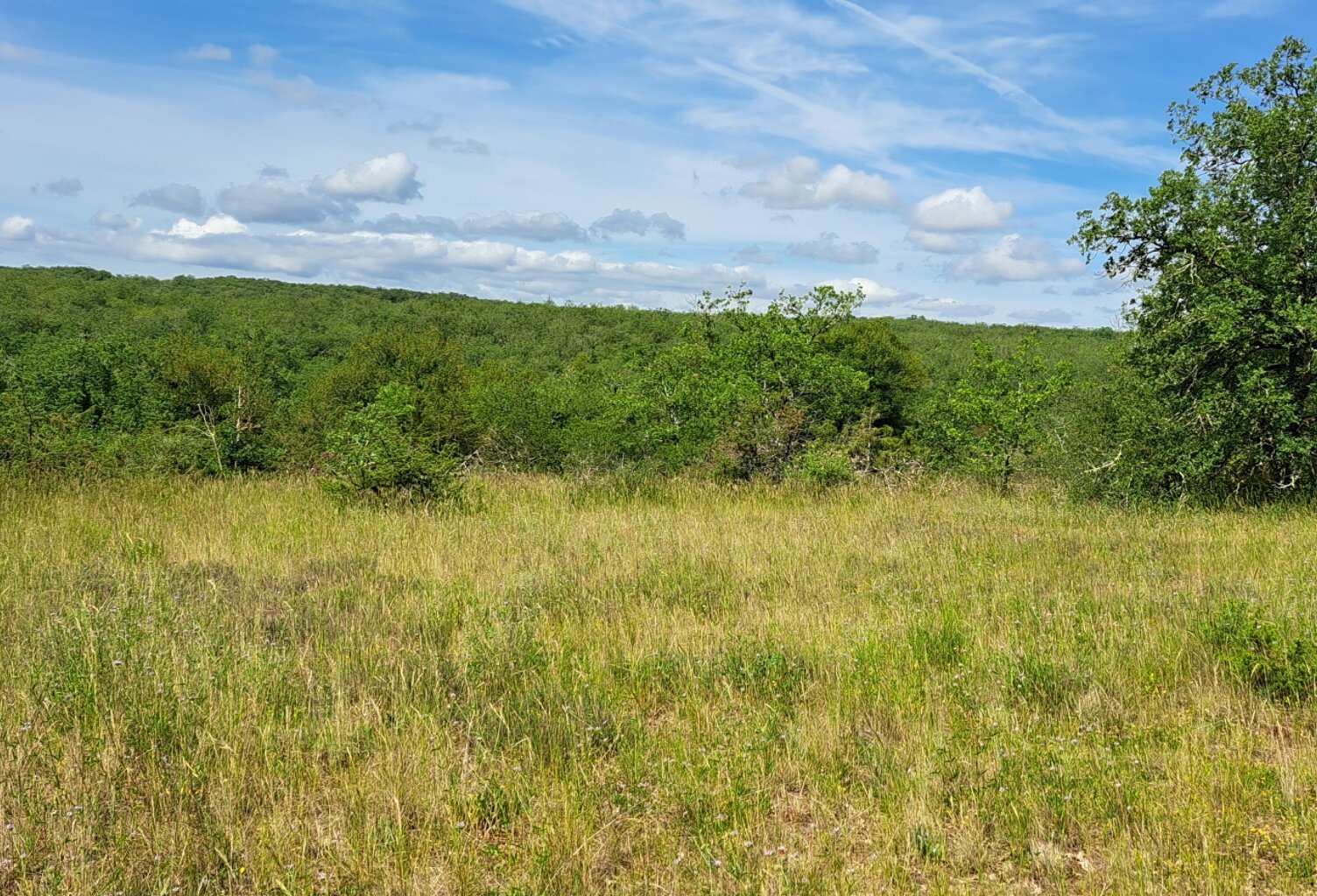 Vente Terrain à bâtir 2 999 m&sup2; — photo 1