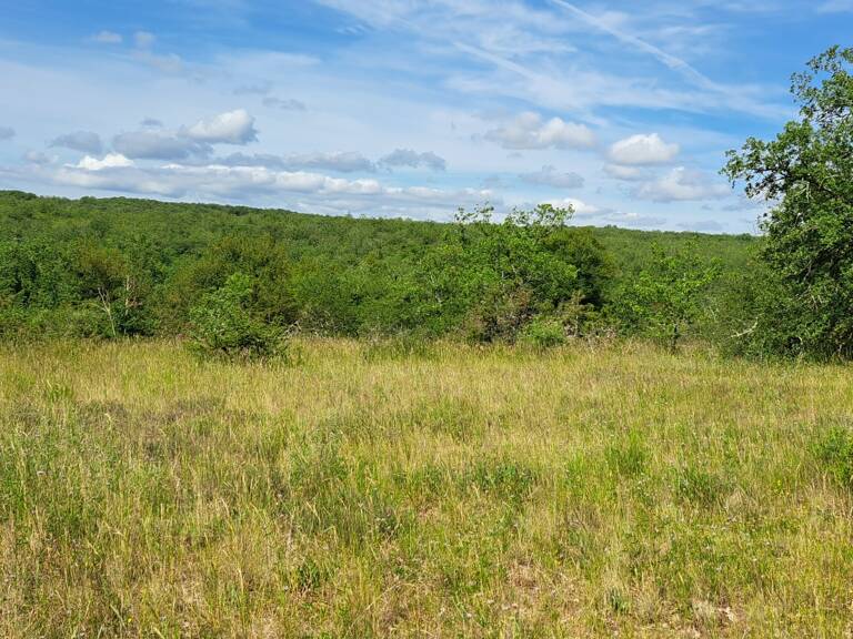 Vente Terrain à bâtir 2 999 m&sup2; — photo 1