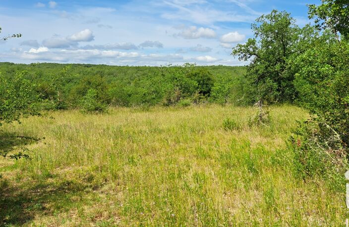 Vente Terrain à bâtir 2 999 m&sup2; — photo 2