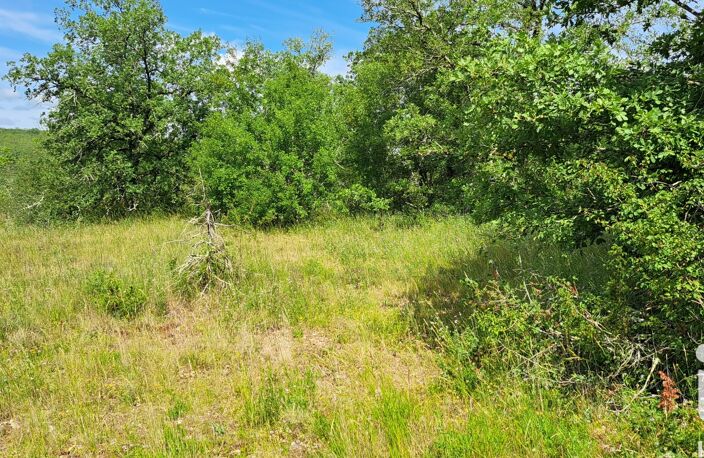 Vente Terrain à bâtir 2 999 m&sup2; — photo 3