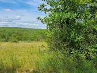 Vente Terrain à bâtir 2 999 m&sup2; — photo 4