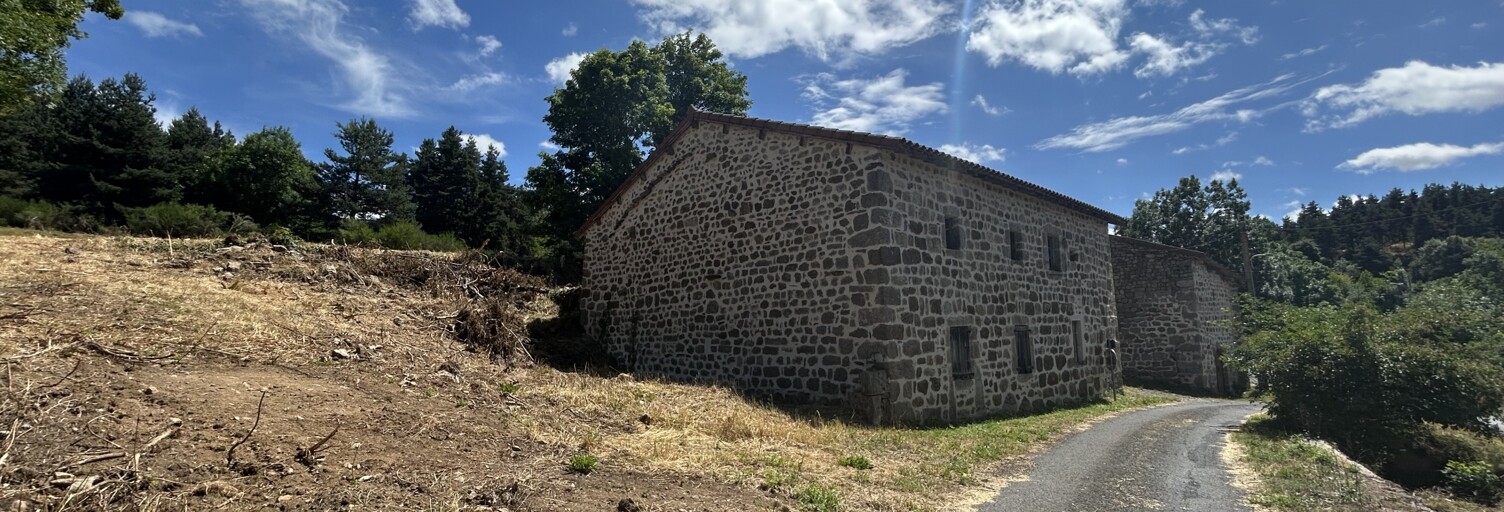Maison 1 Pièce 100 m² à vendre à Vielprat (43490)
