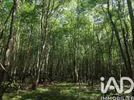Vente Terrain 82 500 m&sup2; — photo 3