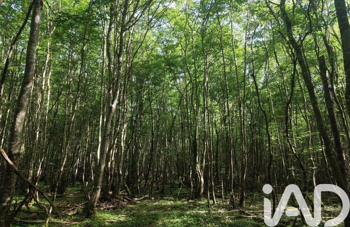 Vente Terrain 82 500 m&sup2; — photo 3