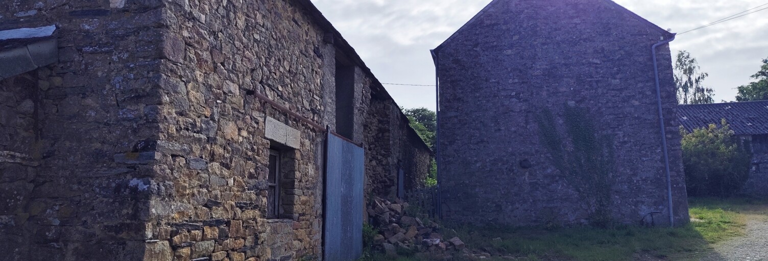 Photo N° 2