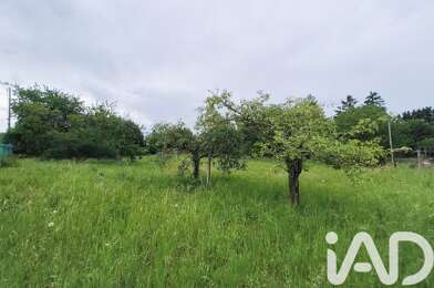 Terrain  50500 €