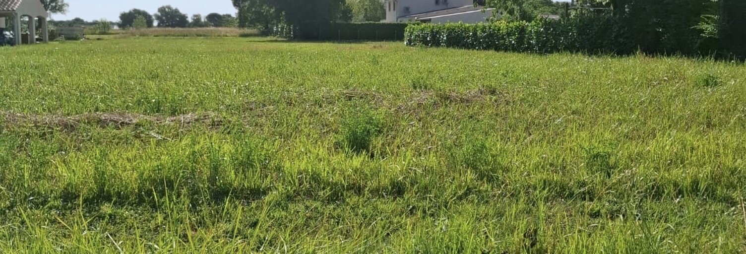 Terrain  2289 m² à vendre à Terssac (81150)