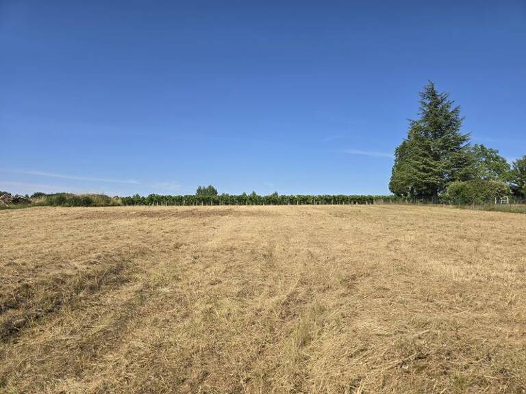 Terrain à bâtir de 0 pièces principales — photo 1