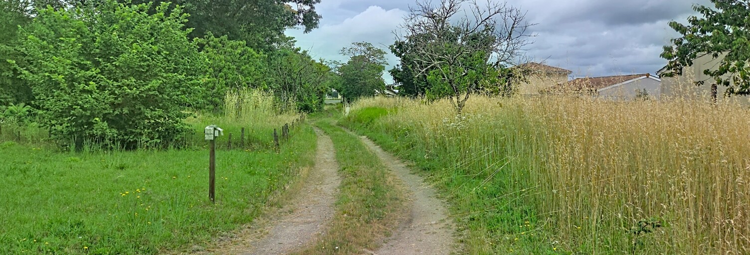 Photo N° 2