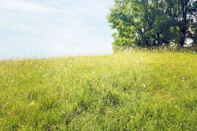 Terrain  75000 €
