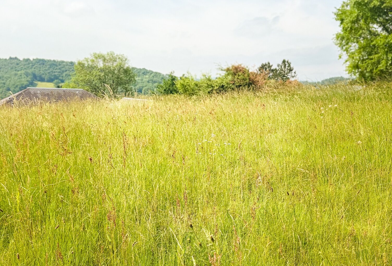 Vente Terrain 3 770 m&sup2; — photo 1