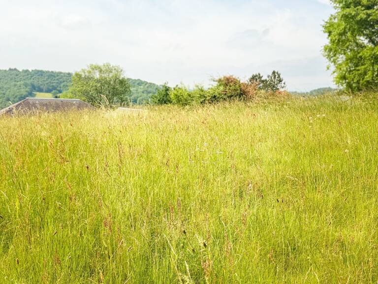 Vente Terrain 3 770 m&sup2; — photo 1